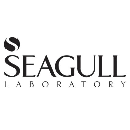 seagull brnd sy gl frwshgh yntrnty rs mrkht khryd mhswlt bhdshty